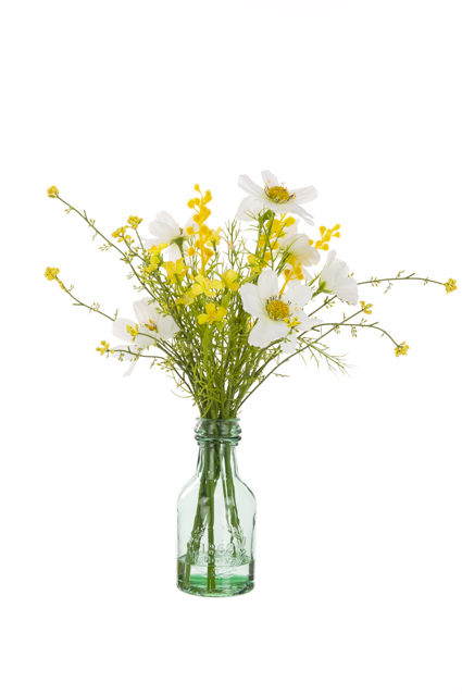 Cosmos Mix In Green Bottle